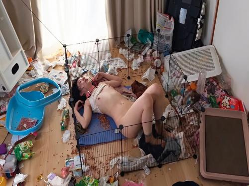 该死的邻居