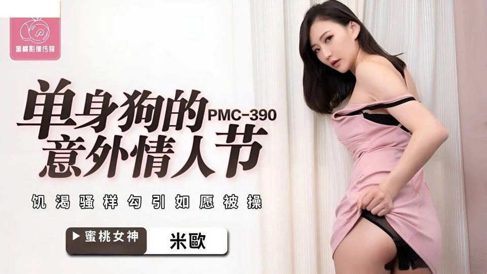 PMC-390 ผู้ขนส่งผู้โชคดีและเจ้าของบ้านที่มีหัวนมใหญ่